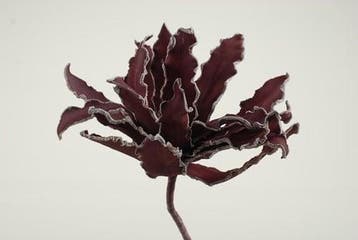 Cactus Ziggo Dark Rood Foam, Ophalen of Verzenden, Nieuw