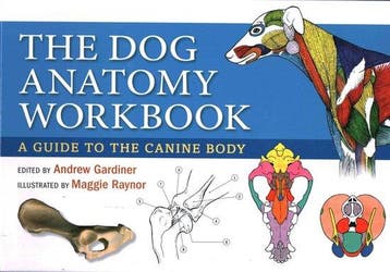9780851319834 Dog Anatomy Workbook Andrew Gardiner, Verzenden, Nieuw, Andrew Gardiner