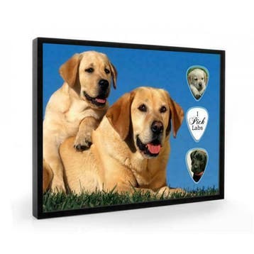 Labrador Retriever hond plectrumdisplay, Verzamelen, Ophalen of Verzenden, Nieuw, Hond of Kat, Overige typen