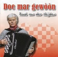 cd - Ruud van der Heijden - Doe Mar GewÃ²Ã²n, Verzenden, Zo goed als nieuw