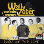 cd - Various - Lucky Me Im In Love - The Wally Zober Sto..., Verzenden, Zo goed als nieuw