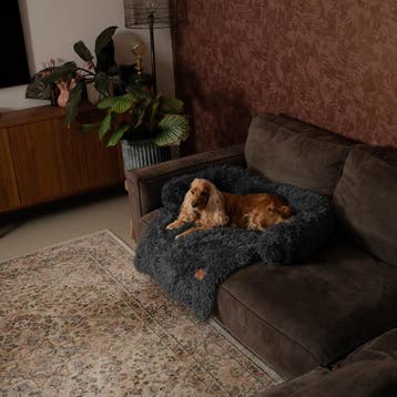 2dekans | By Cee Cee Origineel Hondenkleed – Maat M (90x90, Ophalen of Verzenden, Zo goed als nieuw