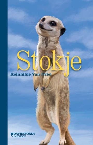 Stokje | 9789002277993 | Reinhilde van Driel, Ophalen of Verzenden, Zo goed als nieuw, Reinhilde van Driel