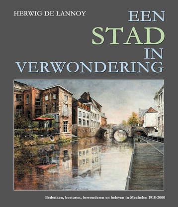 Een Stad In Verwondering | Herwig Lannoy | Nieuw, Ophalen of Verzenden, Nieuw, Herwig Lannoy