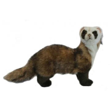 Hansa fret knuffel - pluche - 35 cm - dierenknuffel, Verzenden, Nieuw