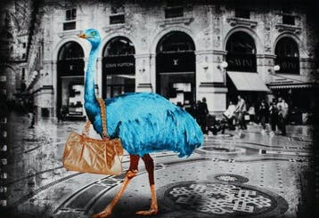 Lars Tunebo (1962) - Looking for a new handbag
