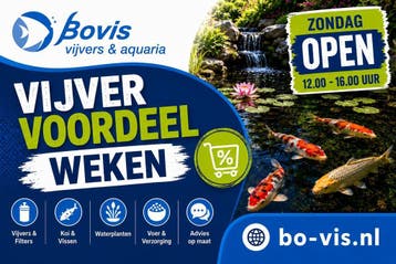 zuurstof-, vijverplanten groot assortiment Twente, Bovis, Ophalen, Nieuw