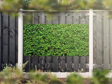 NR 1204: Tuinposter Hedera 90x180cm, Nieuw