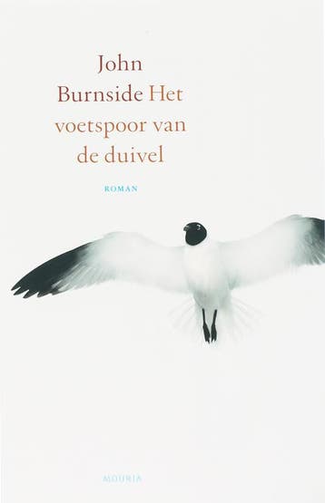 Het voetspoor van de duivel - John Burnside 9789045850047, Verzenden, Gelezen, John Burnside