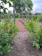 Big Bag Boomschors Speciaal 0/10 Mulch Uitverkocht, Ophalen, Nieuw