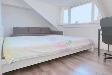 Huis Gelaarsde Kat in Eindhoven, Via bemiddelaar, Eindhoven, Overige soorten, Noord-Brabant