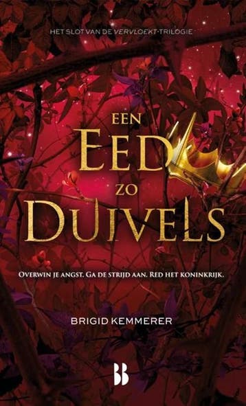 Een eed zo duivels | 9789463493055 | Brigid Kemmerer, Zo goed als nieuw, Brigid Kemmerer