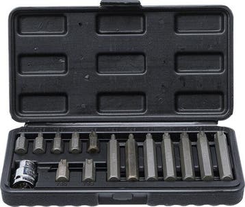 Bgs Technic Bitset 10 mm (3/8) T-profiel (voor Torx) 15-dlg, Verzenden, Nieuw