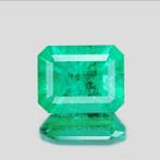 1 pcs Groen Smaragd - 1.41 ct - nternational Colored, Nieuw