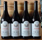 2019 Poderi Aldo Conterno, Cicala - Barolo DOCG - 4 Fles, Nieuw