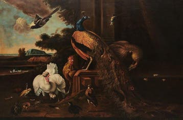 École Européene (c. 1950) - Grand Concert dOiseaux (Dans le