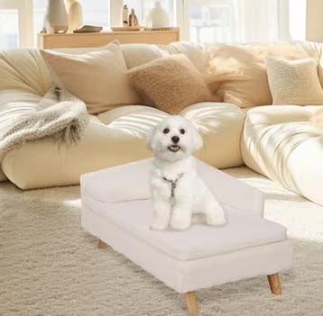 Comfortabel hondenbed met rugleuning en kussen, Verzenden, Nieuw