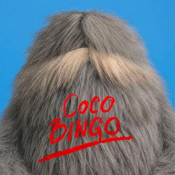 lp nieuw - the supermen lovers - Coco Bingo (pre-order), Verzenden, Zo goed als nieuw, Overige formaten