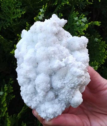 Witte aragoniet-botryoïde in dwarsdoorsnede, een prachtig