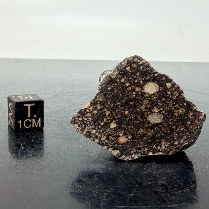 LL4 Condrite NWA 13566 van het hoofddeeg. slechts 826 gram -, Verzamelen, Mineralen en Fossielen