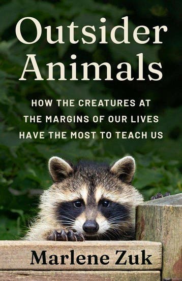 9780691264240 Outsider Animals Marlene Zuk, Boeken, Verzenden, Nieuw, Marlene Zuk