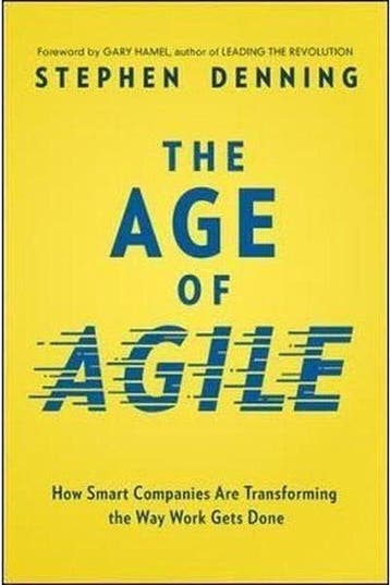 THE AGE OF AGILE - Denning 9780814439098, Verzenden, Zo goed als nieuw, Denning