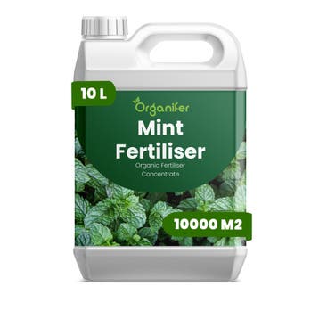 Munt Vloeibare Meststof - 10 liter, Tuin en Terras, Verzenden, Mest