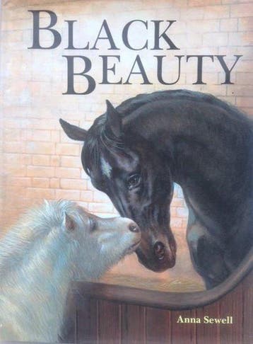 Boek Black beauty 9789060565322, Boeken, Verzenden, Zo goed als nieuw