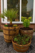 Eiken houten bloembakken - set van 3 - eiken - whiskyvaten, Rond, Ophalen of Verzenden, Zo goed als nieuw, Balkon