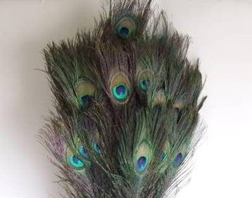 Pauw Veren Peacock Feather Natural Lang 90 cm per stuk, Ophalen of Verzenden, Nieuw