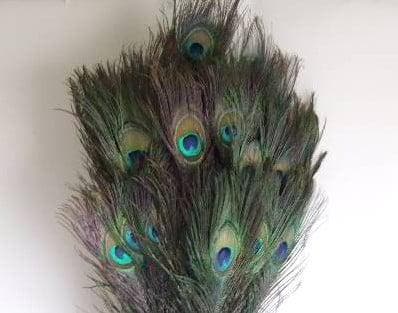 Pauw Veren Peacock Feather Natural Lang 90 cm per stuk, Hobby en Vrije tijd, Knutselen, Nieuw, Ophalen of Verzenden