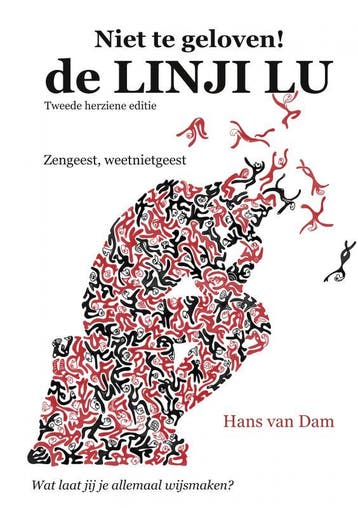de LINJI LU - Hans van Dam 9789402182484, Boeken, Verzenden, Gelezen, Hans van Dam