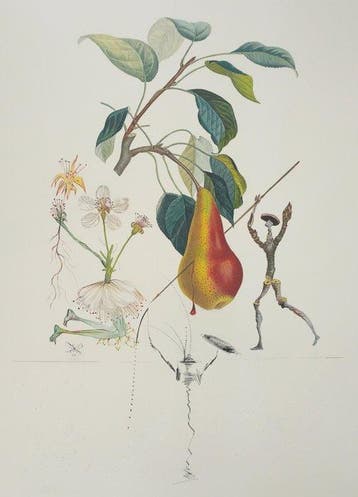 Salvador Dali (1904-1989) - Flordali, Poire Don Quichotte, Antiek en Kunst