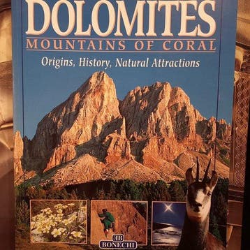 The Dolomites Mountains of Coral - Andrea Innocenti, Verzenden, Gelezen, Andrea Innocenti
