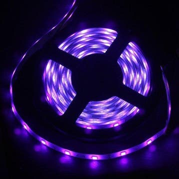 Complete set - Blacklight led strip - 5 meter - IP44, Ophalen of Verzenden, Nieuw