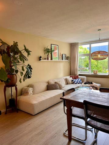 Appartement te huur aan Narcisplantsoen in Haarlem, Huizen en Kamers, Noord-Holland