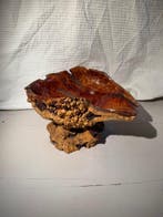 Vaas - Hout, blaffen, Antiek en Kunst