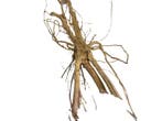 Driftwood Selected  DW49 - 65x30x28cm (Small drift wood), Dieren en Toebehoren, Vissen | Aquaria en Toebehoren, Ophalen of Verzenden