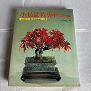 Toshihiko Myokan - Japanese Book Shohin Bonsai Senka