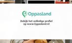 Edwin zoekt een oppas in Nederweert voor 1 kind voor 7 da...
