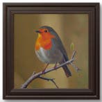 Luis Enrique González - Erithacus Rubecula