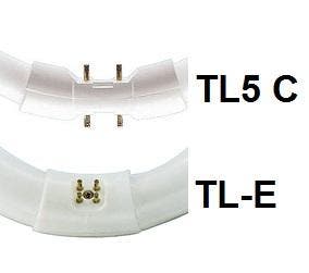 Traditionele ronde TL5 TL-buis 2GX13 22W/830 | 23cm, Ophalen of Verzenden, Nieuw