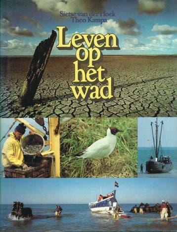 Leven op het wad - Hoek 9789022811177, Verzenden, Gelezen, Hoek