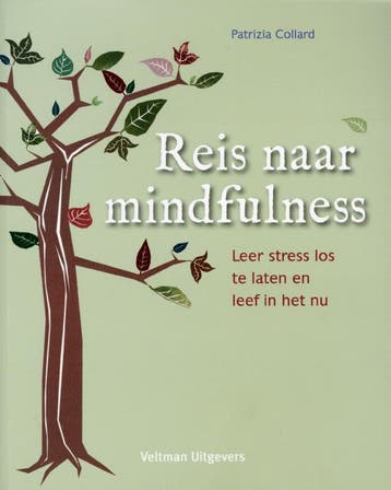 Reis naar mindfulness - Patrizia Collard 9789048307883, Boeken, Verzenden, Gelezen, Patrizia Collard