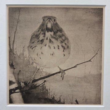 Jan Mankes (1889-1920) - Vogel op tak