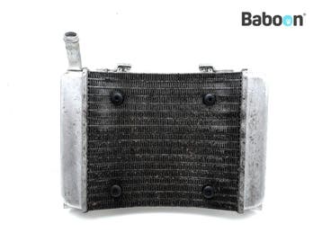 Radiateur BMW C 400 GT 2018-2020 (C400GT K08) (8565186), Motoren, Onderdelen | BMW, Verzenden, Gebruikt