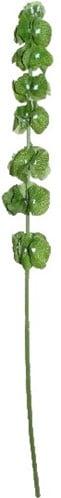 Klokken van Ierland Bells of Ireland Groen Zijdenbloem 74 cm, Ophalen of Verzenden, Nieuw