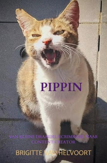 Pippin | Brigitte van Helvoort | Nieuw, Ophalen of Verzenden, Nieuw, Brigitte van Helvoort
