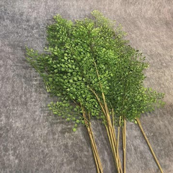 Realistische Kunstvaren Takken - Handgemaakt & Elegant Groen, Verzenden, Nieuw