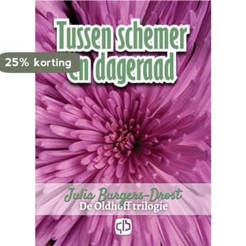 Tussen schemer en dageraad / Grote letter bibliotheek / 3182, Verzenden, Zo goed als nieuw, Julia Burgers-Drost